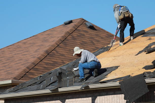 Best Roof Leak Repair  in Lemon Hill, CA