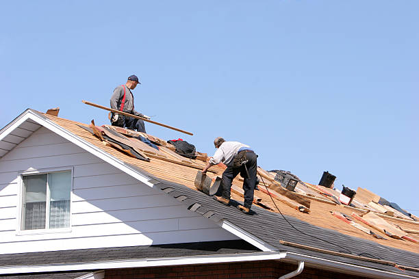 Best Roof Ventilation Installation  in Lemon Hill, CA